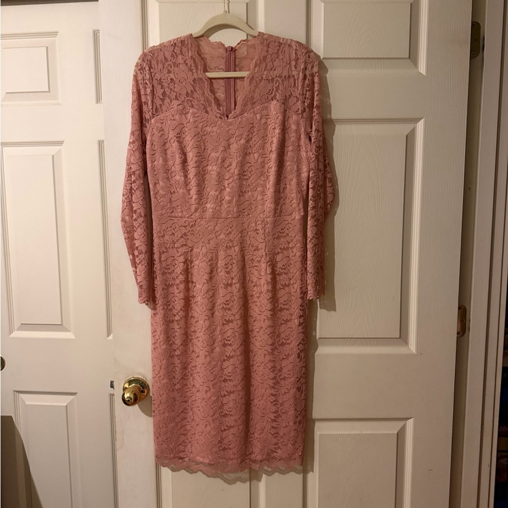 Source Unknown Blush Pink Lace Long-Sleeve Midi Dress